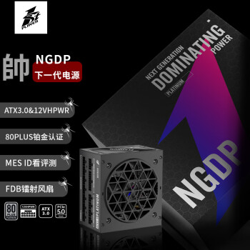 首席玩家（1st player）NGDP铂金 1300W ATX3.0电源（MES ID/压纹线/PCIe5.0/FDB风扇/支持4090）