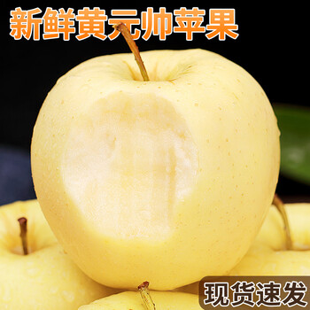 黄元帅苹果新鲜9斤水果应季烟台粉苹果黄蕉面黄苹果黄金帅 5斤 85mm