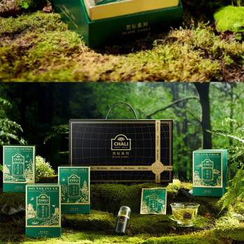 CHALI多口味组合装黑标系列绿茶12茶包*4盒  96g礼盒装袋泡茶独立 