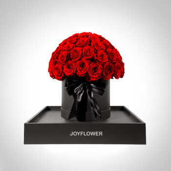 JoyFlower永生花玫瑰抱抱桶七夕情人节生日礼物结婚纪念日送女朋友老婆闺蜜