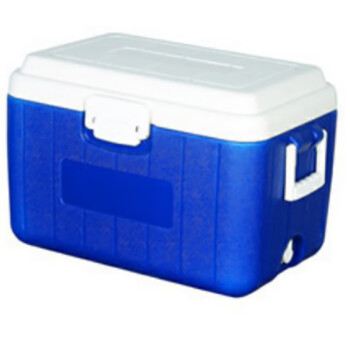 致年华（zhinianhua） 冷藏箱 60L冷链运输箱 冷藏箱含温度显示含3个冰盒
