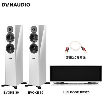 丹拿（DYNAUDIO）HiFi音响功放套装 重现Evoke 30无源落地音箱 高光白+RS520高清流媒体功放机+Atlas赤道音箱线