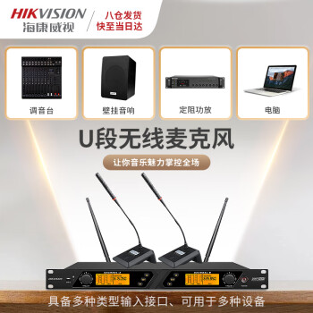 海康威视（HIKVISION）一拖二无线麦克风桌面长杆鹅颈话筒会议室演讲UHF高保真主席台抗干扰自动对频防啸叫培训广播