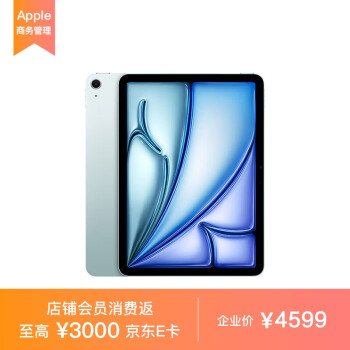 Apple iPad Air 11 英寸 M2芯片 2024年新款平板电脑128GB WLAN版/MUWD3CH/A 蓝色*企业专享