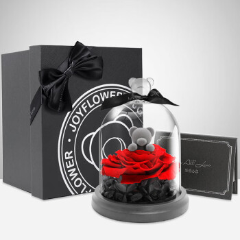 RoseBox永生花小熊礼盒玫瑰花鲜情人节生日礼物表白送女友结婚纪念日实用