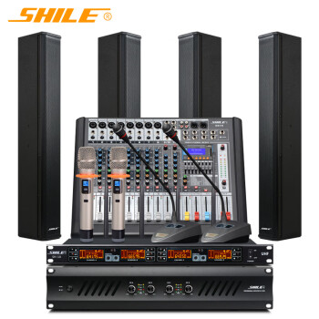 狮乐（SHILE）AV2018+BX408+天琴十号+SH10专业大功率专业会议音响系统 功放可壁挂音柱无线话筒调音台组合