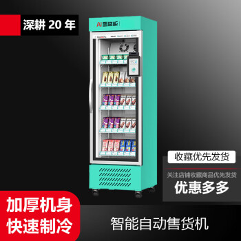QKEJQ 雪糕冷冻柜视觉ai智能识别270L大容量自助雪糕售卖机   雪糕冷冻柜