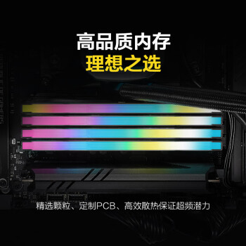 美商海盗船（USCORSAIR）32GB(16G×2)套装 DDR4 3600 台式机内存条 复仇者RGB PRO SL全彩灯条 电竞玩家款