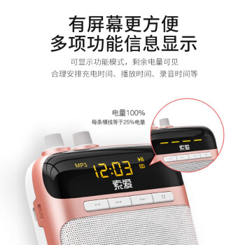 索爱（soaiy）S318小蜜蜂扩音器教师专用蓝牙音箱音响小喇叭TF卡U盘录音麦克风导游便携式喊话器教学讲课 睿智黑