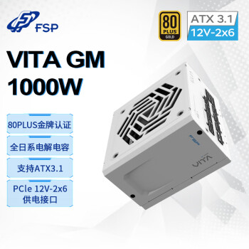 全汉（FSP）VITA GM 1000W雪装版金牌全模组电源（ATX3.1/PCle 5.1 12V-2x6接口/105℃工业等级日系电容）