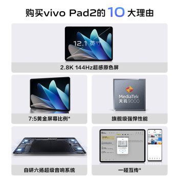 vivo Pad2 12.1英寸平板电脑（天玑9000旗舰芯片 12GB+256GB 144Hz超感原色屏 10000mAh电池）远山灰