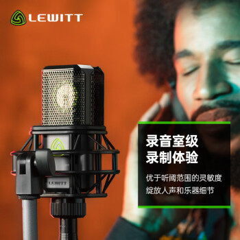 莱维特（LEWITT）LCT 540 SUBZERO电容麦克风专业录音棚级配音录歌设备 网红主播直播K歌手机电脑有线话筒
