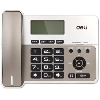 得力（deli）796 电话机 固定电话 办公家用 横式大屏 三组亲情号一键呼叫 金属灰