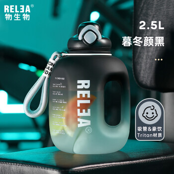 物生物（RELEA）吨杯吨桶大容量塑料杯户外健身运动水壶男女吸管杯Tritan太空水杯