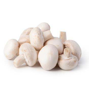 新鲜白蘑菇口蘑鲜白蘑菇时令蔬菜煲汤烧烤食材新鲜蘑菇500g