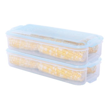 佳佰 冰箱保鲜盒馄饨盒冷冻储物盒长条形鸡蛋水果收纳盒面条盒 2只装透明蓝