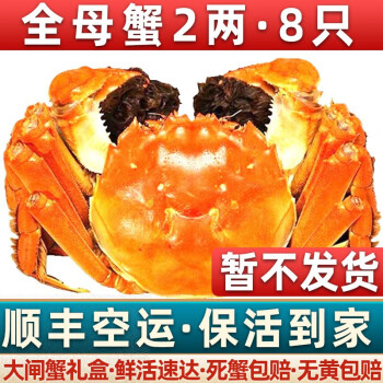 【现货活蟹】好蟹莱大闸蟹鲜活螃蟹海鲜礼盒六月黄生鲜蟹类大螃蟹 全母蟹2两 8只【298】