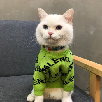 狗狗猫咪衣服春秋款 布偶猫宠物猫小猫蓝猫冬季毛衣潮牌秋季防掉毛 凡
