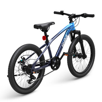 九号（Ninebot） 平衡自行车 青少年自行车全地形安全稳定 20英寸 DS