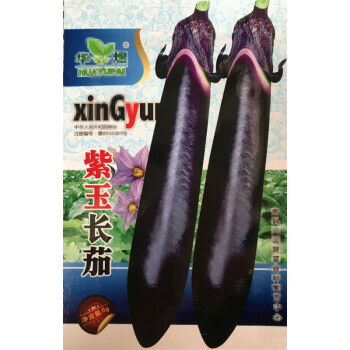 蔬菜种子紫红长茄春季四季田园阳台盆栽茄子籽四季种植瓜果紫长茄约
