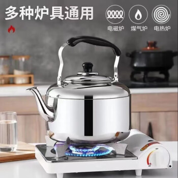 ASD中宝典雅B型琴音水壶5L