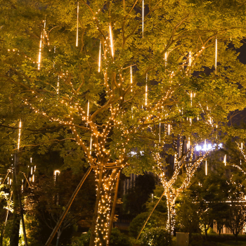 ULINK 过年新年户外彩灯闪灯串灯树灯防水挂树灯串 暖白 50CM【防水-8根装总长2.5米】