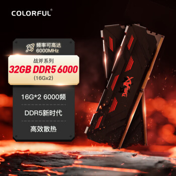 七彩虹（Colorful）32GB(16Gx2) DDR5 6000 台式机内存 马甲条 战斧系列