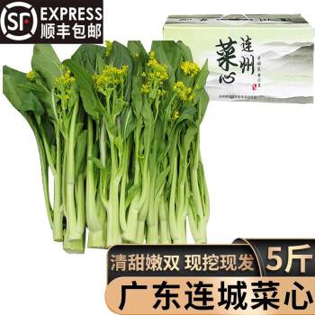 顺丰礼盒装广东连州菜心甜菜心迟菜心鲜嫩菜苔菜薹新鲜蔬菜清炒火锅