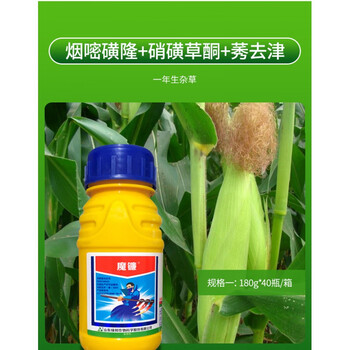山东绿邦魔镰硝磺草酮烟嘧磺隆莠去津玉米苗后除草剂安全型180g 180g