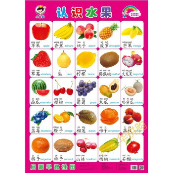 数字挂图无声儿童汉语拼音字母表墙贴宝宝识字早教贴图03岁认识水果