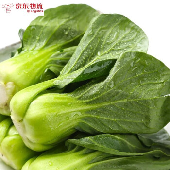 农家小青菜新鲜蔬菜青菜小油菜火锅青菜北方青菜(优选品质 3斤家庭装