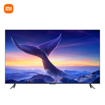 小米（MI）电视Redmi MAX 100英寸巨幕 144HZ高刷 青山护眼 4+64GB 会议电视【移动支架+投屏器套餐】包安装\t