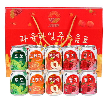韩国原装进口 九日（JIUR）混合口味果肉果汁饮料238ml*10罐 果汁礼盒装