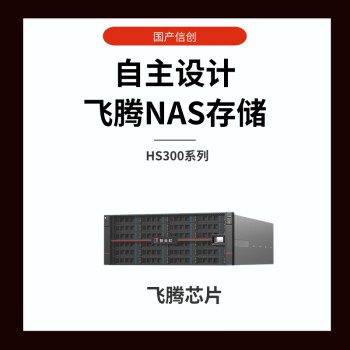智云町HS324+双万兆NAS网络存储服务器国产信创飞腾D2000 24盘位磁盘阵列存储16GB内存/384TB 16TB*24