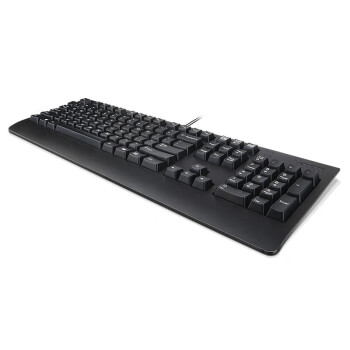 联想   USB有线键盘 家用办公电脑键盘 台式一体机笔记本外置键盘 4X30M86879黑色