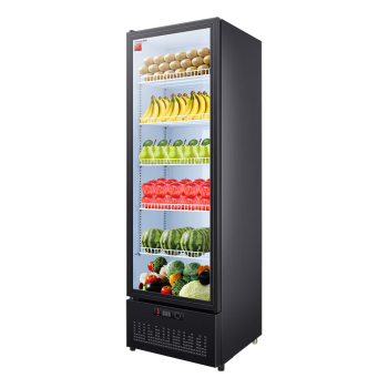 德玛仕（DEMASHI）食品留样柜 学校公司留样柜食堂水果蔬菜留样冰箱保鲜冷藏冰柜展示柜 LG-390ZH1【338L】
