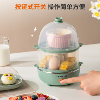 九阳（Joyoung）家用一机多用双层自动断电煮蛋器ZD14-GE140飞泉绿【企业采购】【支持一件代发】