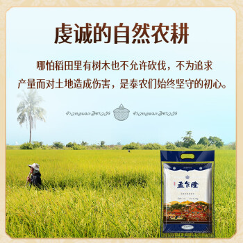 孟乍隆 苏吝府茉莉香米 泰国香米 进口大米 大米5kg