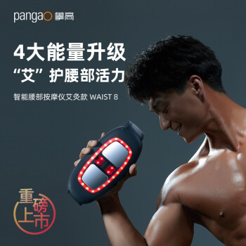 攀高（PANGAO）腰部按摩器w8腰椎腹部按摩仪 中频艾灸热敷护腰带 生日礼物 实用暖心健康礼