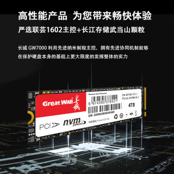长城（Great Wall）4TB SSD固态硬盘 M.2接口（NVMe协议）PCIe4.0 GW7000