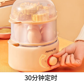 九阳（Joyoung）家用以及多用双层可定时煮蛋器ZD14-GE310【企业采购】【支持一件代发】