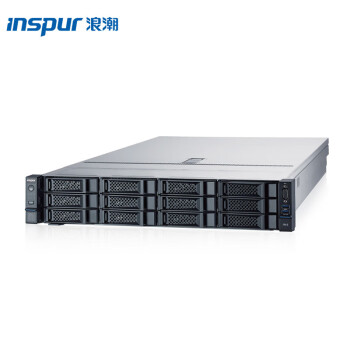 浪潮（INSPUR）DP2000G6备份服务器(4310*2/128G内存/480G SSD*2/8T*10备份容量及授权/RAID卡/四口千兆)