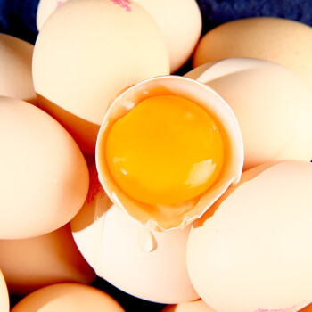 绿田逐散养土鸡蛋新鲜40枚 净重1.7kg 农家柴鸡蛋 笨鸡蛋 月子蛋
