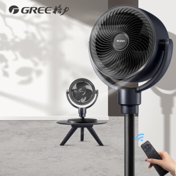 格力（GREE）空气循环扇家用遥控电风扇节能电扇台地两用落地扇台扇净化器风扇（FXDZ-20X62Bcg3）