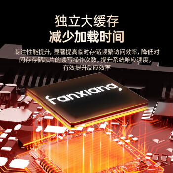 梵想（FANXIANG）2TB SSD固态硬盘 SATA3.0接口高速读写独立缓存 S103PRO系列