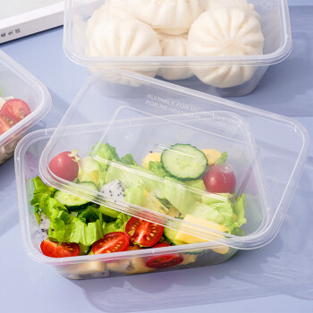 丽佳厨具一次性饭盒长方形透明塑料快餐盒加厚带盖打包盒餐具300套装750ml