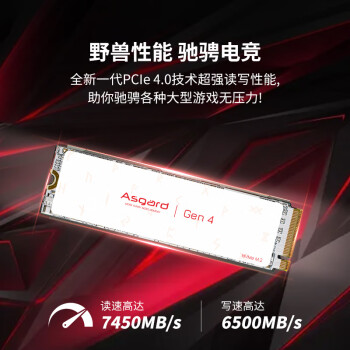 阿斯加特（Asgard） AN4+ 1TB SSD固态硬盘 M.2接口(NVMe协议) PCIe 4.0 读速高达7450MB/s