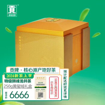 贡牌绿茶真西湖龙井茶狮峰特级250g2024年新茶明前黄玺域礼盒