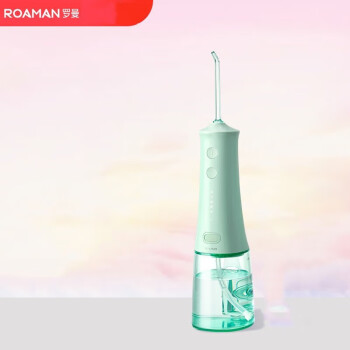 罗曼小宝塔冲牙器洗牙器水牙线 便携洁牙器 W10薄荷绿