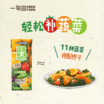 一甸园100%果蔬汁（橙子味）200ml*10盒